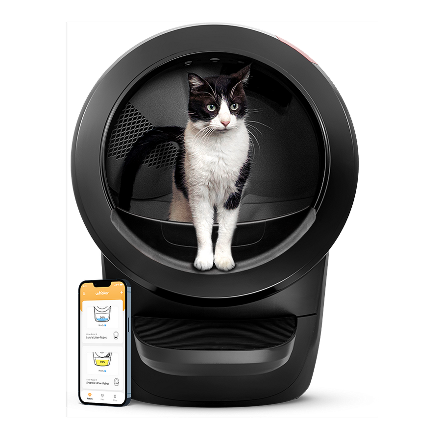 Whisker Litter-Robot 4 automatic litter box with cat and app display